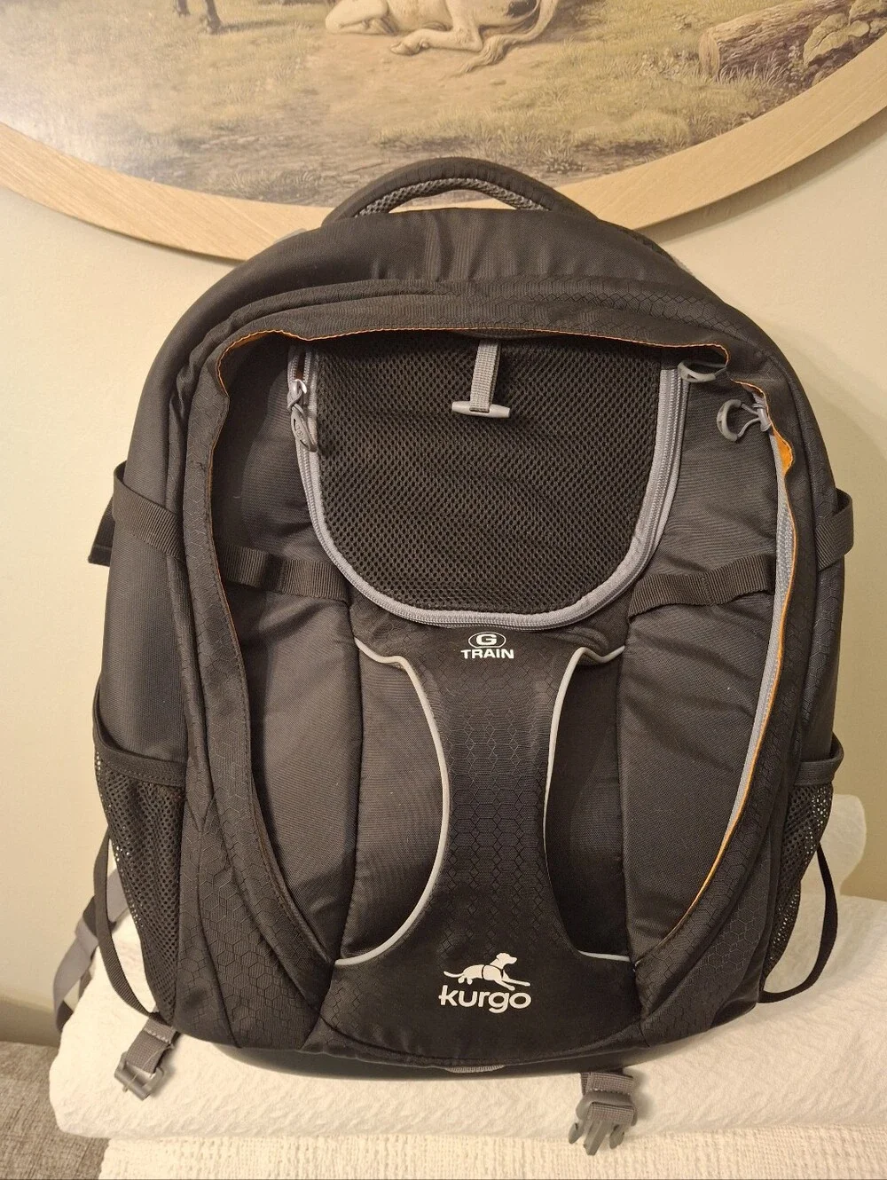 ✨ LIKE NEW ✨ Kurgo G-Train Dog Carrier Backpack (Black/Orange)